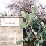Da questo punto in poi strada Lepore si dirama in vicoli molto stretti puntellati alberi da frutta, fichi d�india...